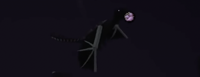 ender-dragon